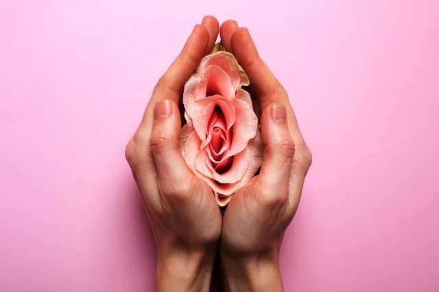 genital estetik